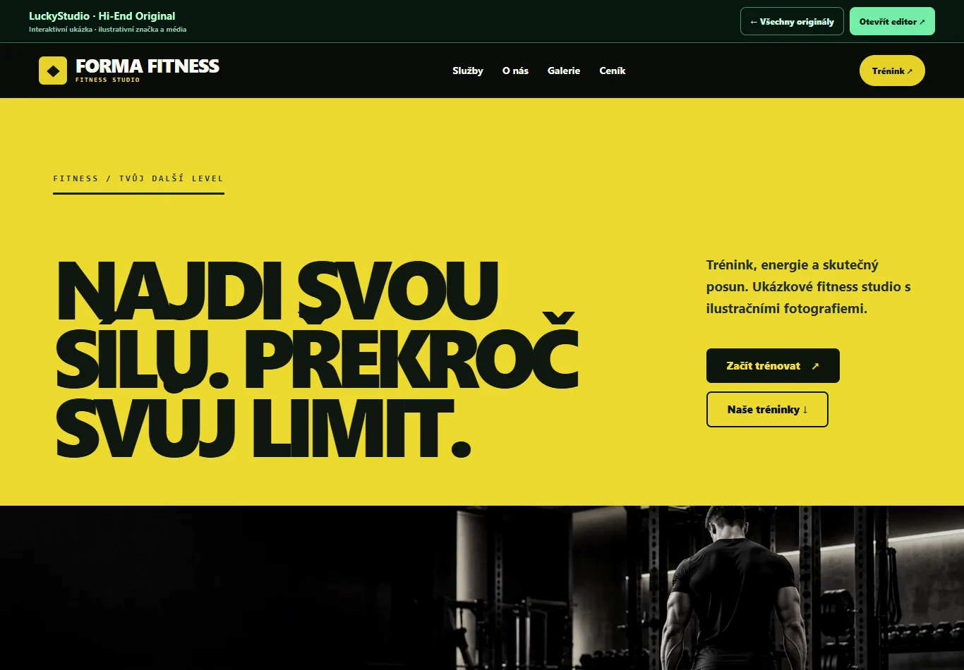 Fitness Hi-End – Prémiový fitness web s vlastní kompozicí a fotkami.